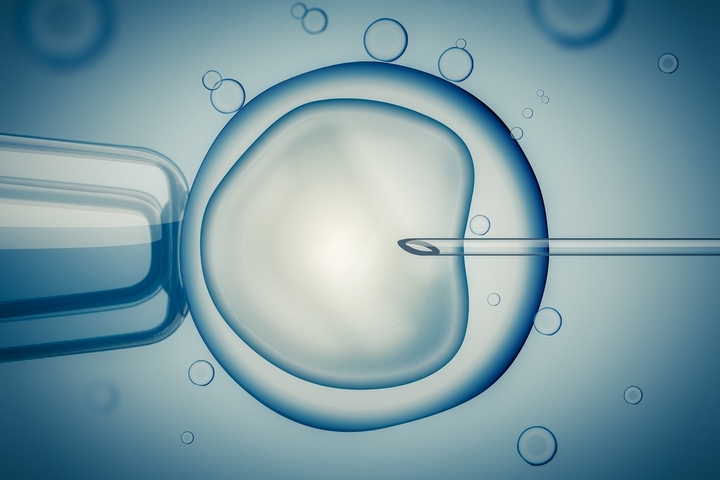 How to Naturally Increase Fertility